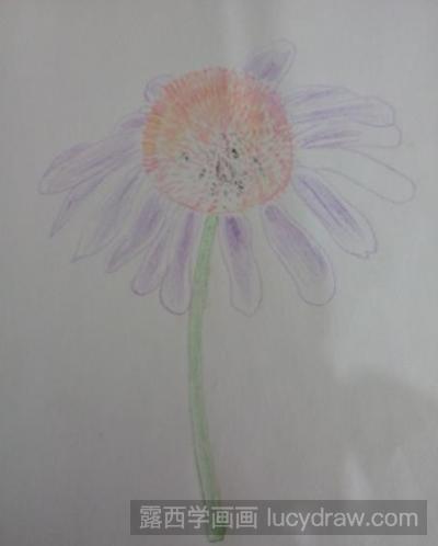松果菊儿童画教程