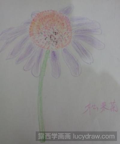 松果菊儿童画教程