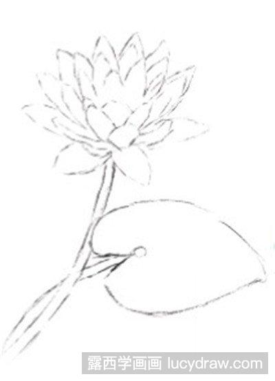 彩铅画教程-睡莲的绘制方法