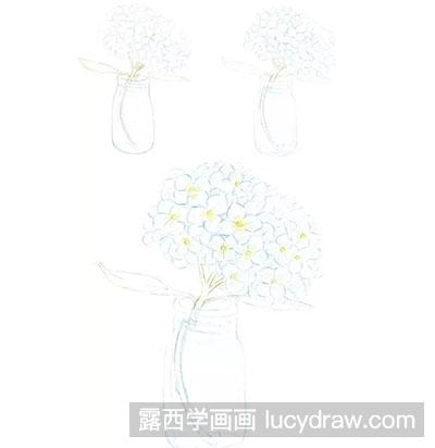 彩铅画教程：怎么绘制绣球花