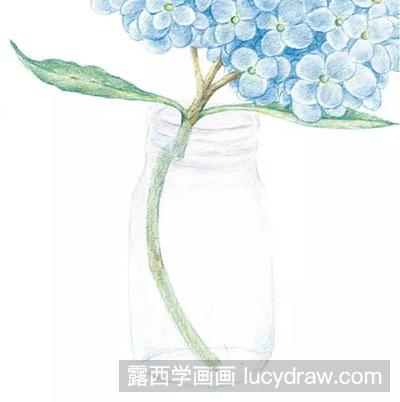 彩铅画教程：怎么绘制绣球花