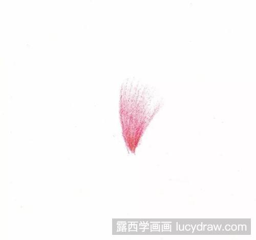 彩铅画教程：画一朵小花吧