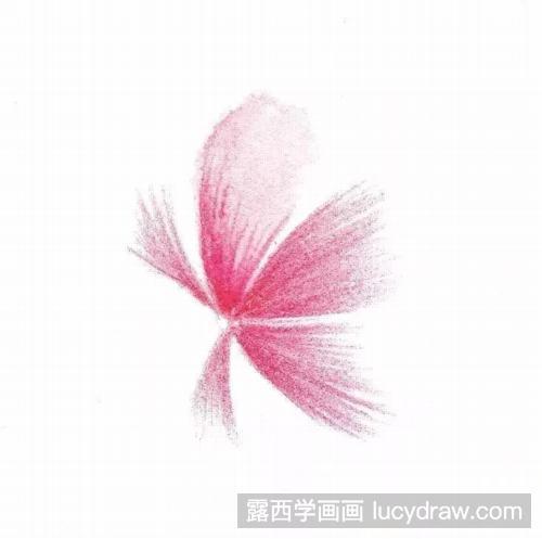 彩铅画教程：画一朵小花吧