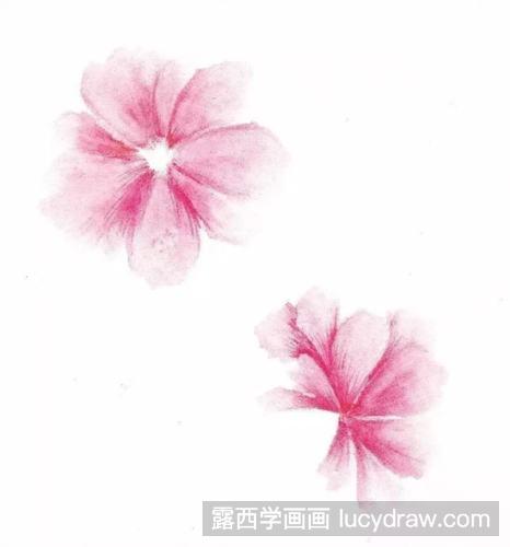 彩铅画教程：画一朵小花吧