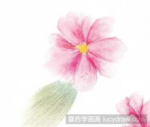 彩铅画教程：画一朵小花吧