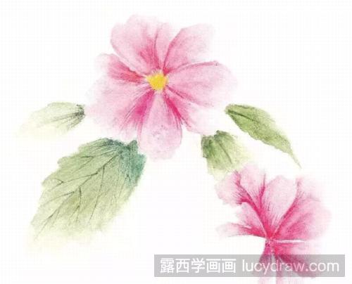 彩铅画教程：画一朵小花吧