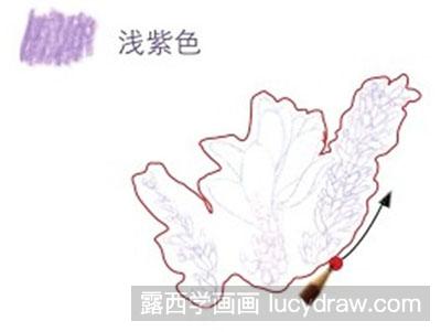 彩铅画教程-怎么绘制紫色迎春花