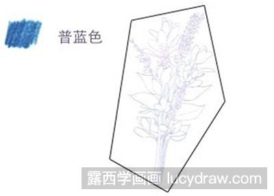 彩铅画教程-怎么绘制紫色迎春花