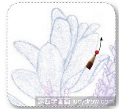 彩铅画教程-怎么绘制紫色迎春花