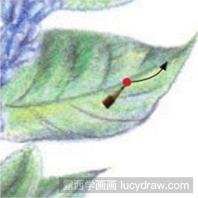 彩铅画教程-怎么绘制紫色迎春花