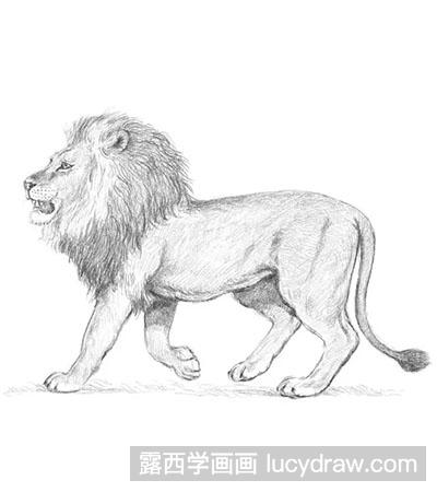 中国狮子的画法图片