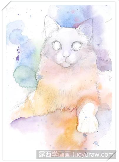 水彩手绘布偶猫教程