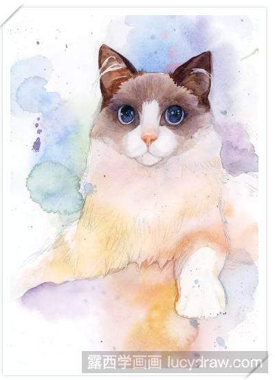水彩手绘布偶猫教程