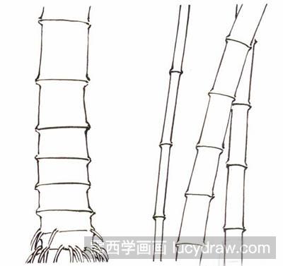国画教程：白描竹子绘制要点
