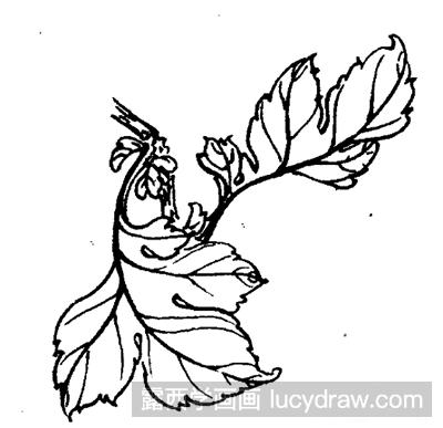 国画教程-怎么绘制白描菊花