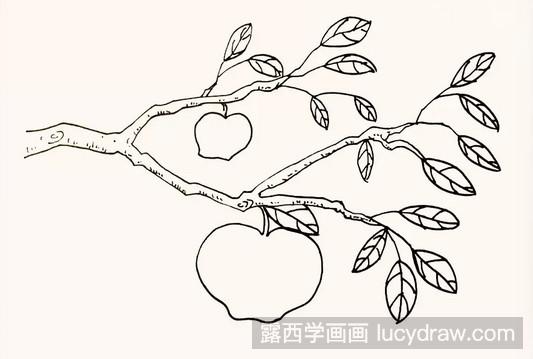 简笔画教程：教你画苹果树