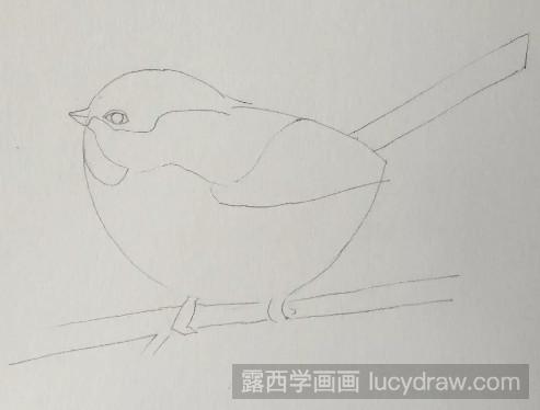 彩铅画教程：教你画雪中小鸟