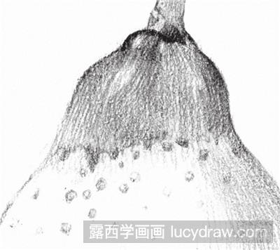 素描教程：水果梨