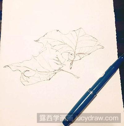 水彩画教程：怎么绘制秋叶