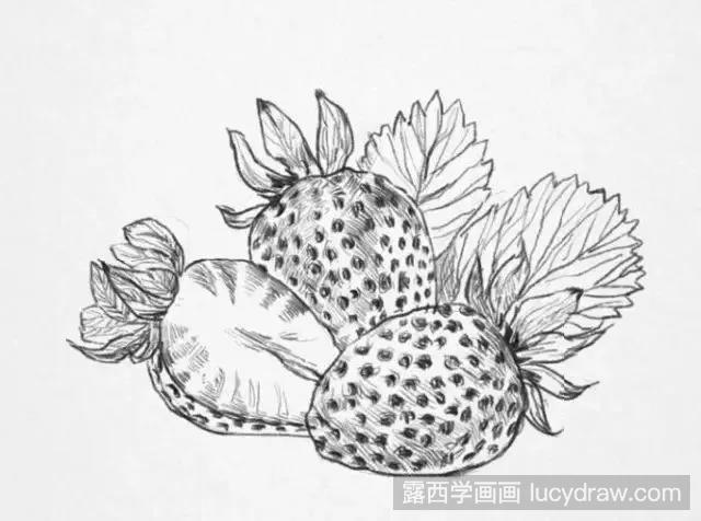 静物教程：草莓的素描画法