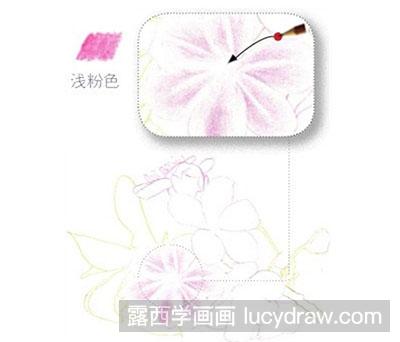 怎么绘制彩铅画樱花