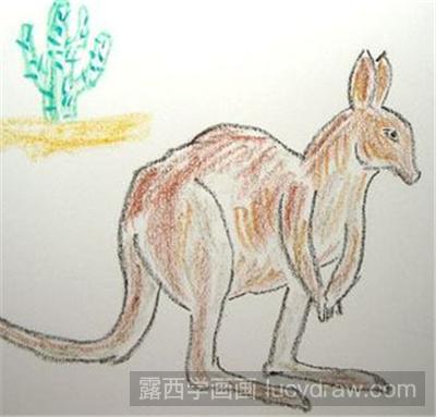 儿童画教程：可爱的袋鼠
