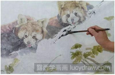 工笔画教程-怎么绘制小熊猫