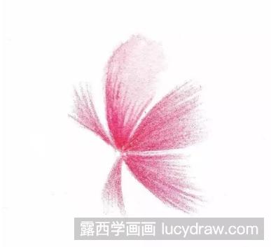 水溶性彩铅画花草教程