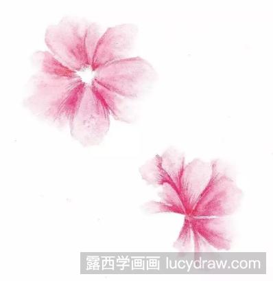 水溶性彩铅画花草教程