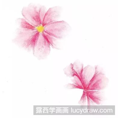 水溶性彩铅画花草教程