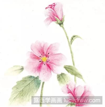 水溶性彩铅画花草教程