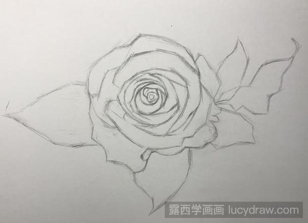 彩铅画月季花的步骤