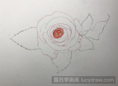 彩铅画月季花的步骤