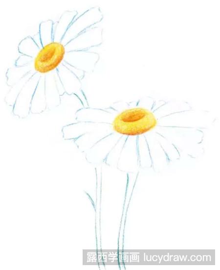 彩铅画教程：教你画少女般的雏菊