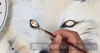 水彩画教程-怎么绘制雪狐