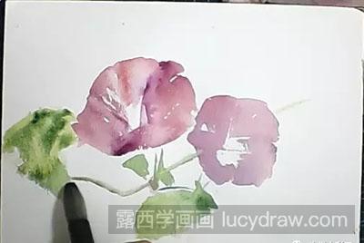 怎么绘制水彩画牵牛花