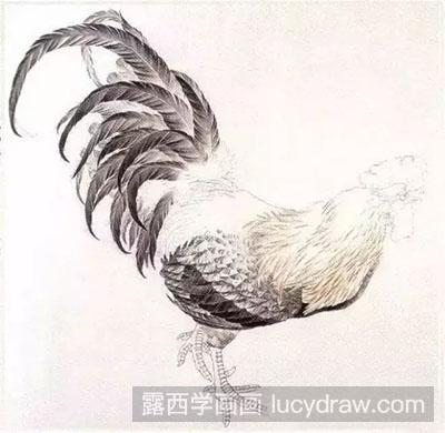 工笔画教程：怎么画公鸡