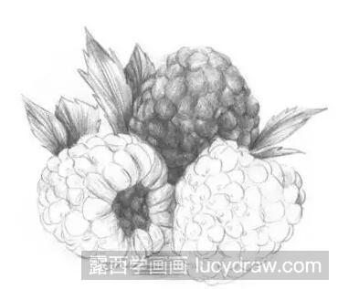 树莓素描教程