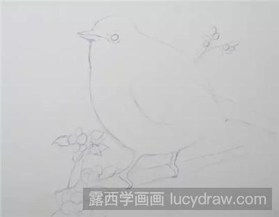 彩铅画教程：教你画可爱的小肥鸟