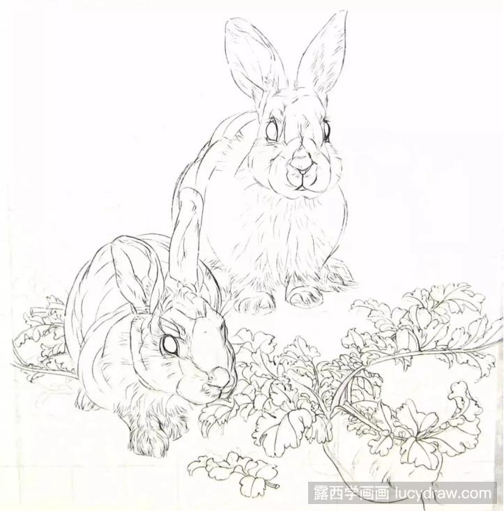 工笔兔子的画法步骤