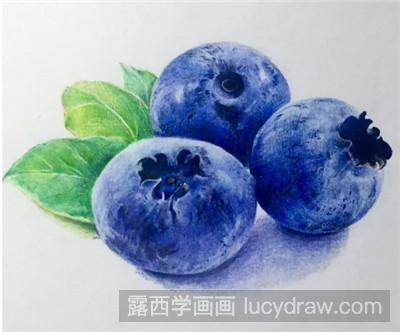 彩铅画教程：教你画蓝莓