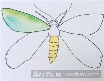 水彩画教程：教你画蝴蝶