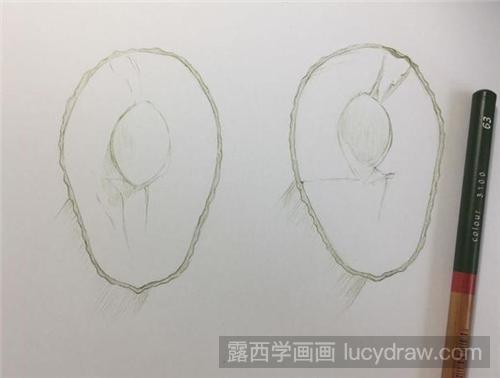 牛油果彩铅画教程