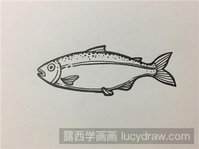 简笔画教程：三文鱼