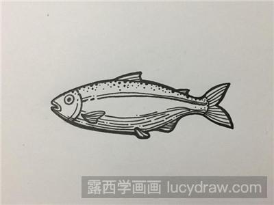 简笔画教程：三文鱼