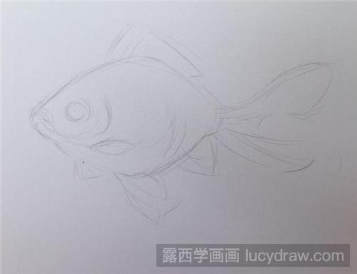 鲤鱼彩铅画教程