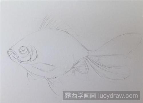 鲤鱼彩铅画教程