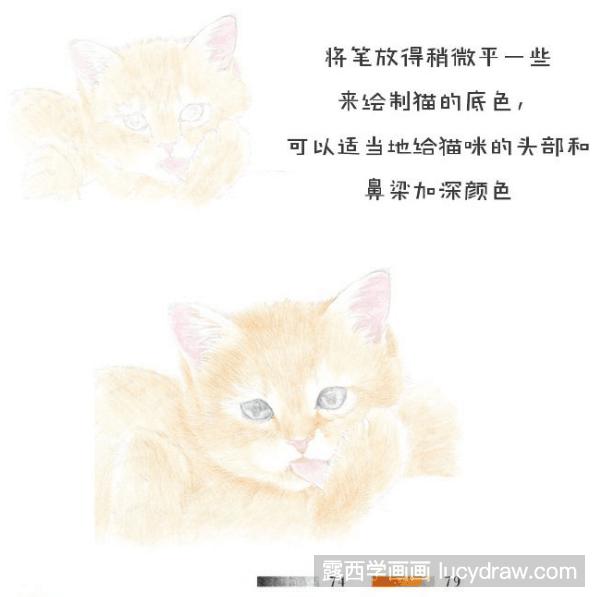 彩铅画教程：怎么画猫咪