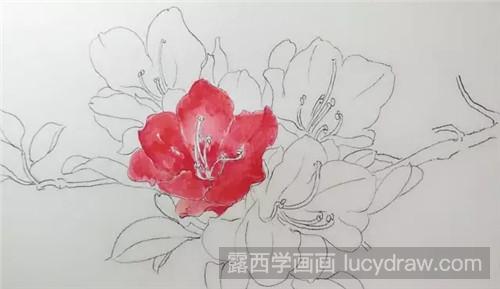 杜鹃花水彩画教程