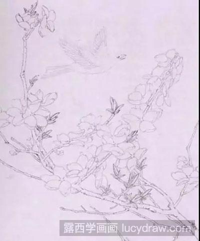 工笔画教程-怎么绘制桃花与鸟